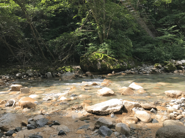        真夏の穂高養生園へ_a0233896_19550988.gif