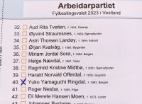 速報：2023年ノルウェー地方議会候補の42％は女性_c0166264_18384031.jpg