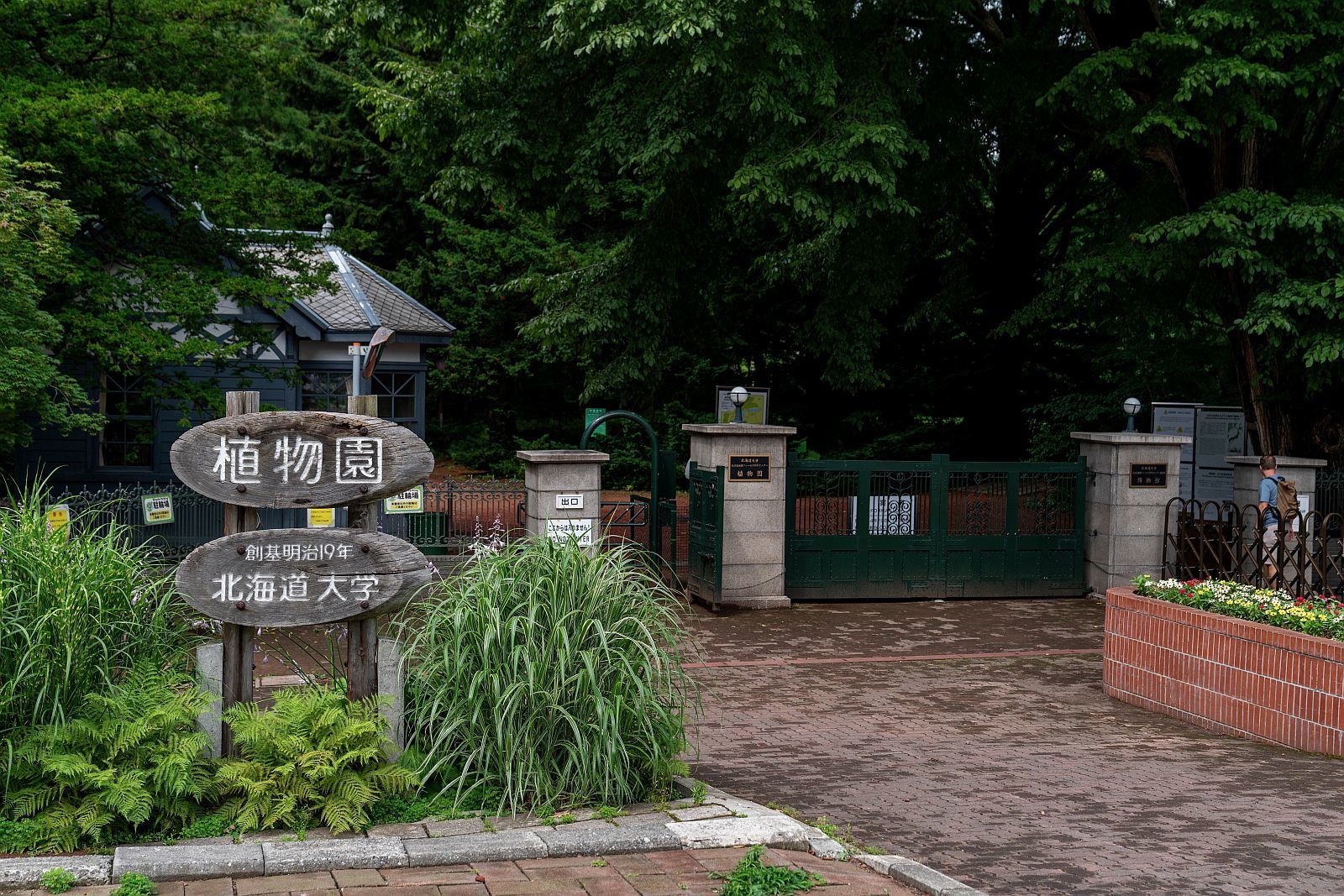 【重要文化財｜北海道大学農学部 植物園・博物館】　行き方、見学のしかた_b0212342_10390324.jpg