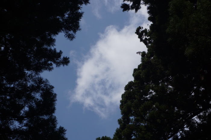 木曾神社の聖なる泉_a0129636_08034973.jpg