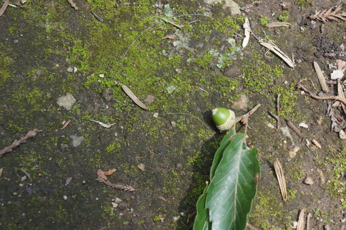 木曾神社の聖なる泉_a0129636_08045263.jpg