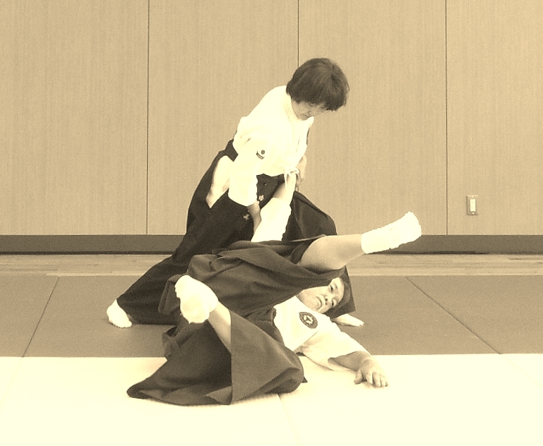 武術形の復元 : 国際水月塾武術協会 International Suigetsujuku Bujutsu Association