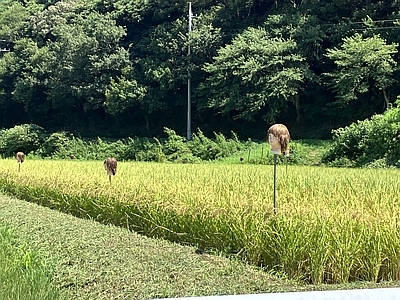 夏の小旅行などなど_a0079878_17492759.jpg