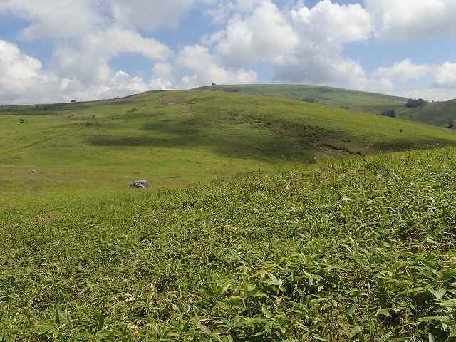 蝶々深山(1836m)_b0341133_11022701.jpg