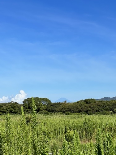 ちょっとずつ秋の空_f0309325_08091631.jpeg