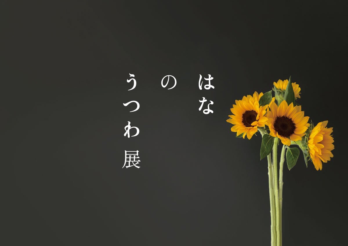 花をかざる　ーショーケースaiiima「はなのうつわ展」ー_f0236691_09225557.jpg