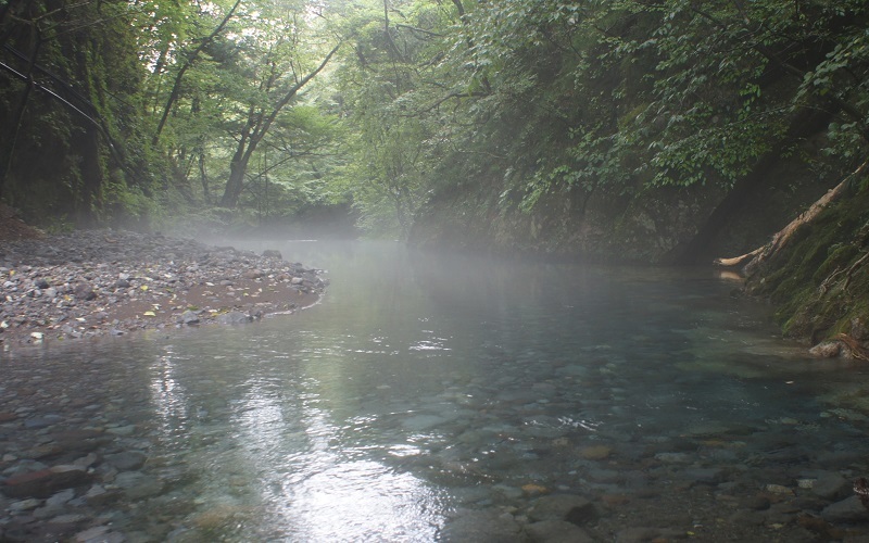 尚仁沢へ、又してもﾔﾏﾋﾞﾙに遭遇_b0220251_20082735.jpg