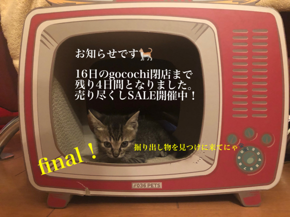 本日13日18時までOpen！_b0290491_10550927.jpg