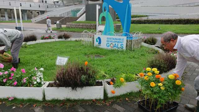 名古屋港水族館前花壇の植栽R5.9.11_d0338682_10112710.jpg