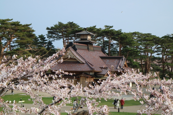 春の函館周辺ツアー　２０１７年５月_b0428227_16373779.jpg