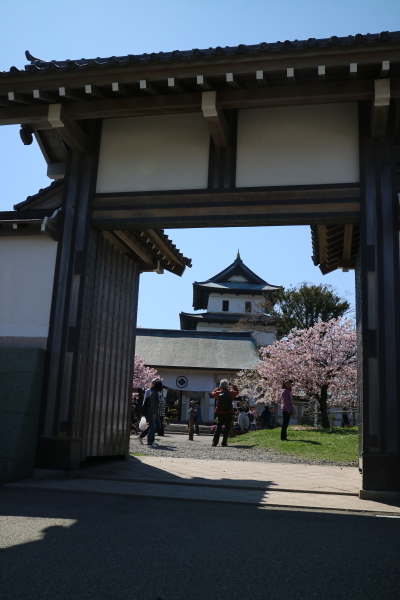 春の函館周辺ツアー　２０１７年５月_b0428227_16380388.jpg