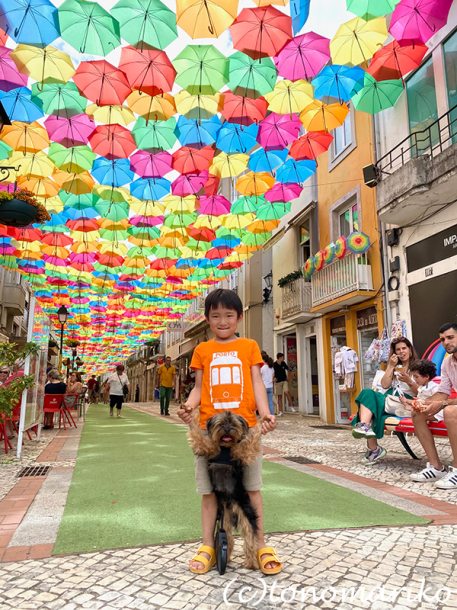 夏のバカンス9　カラフルな傘の町の写真をアップできないまま怒涛の新年度9月の２週間_c0024345_22490843.jpg