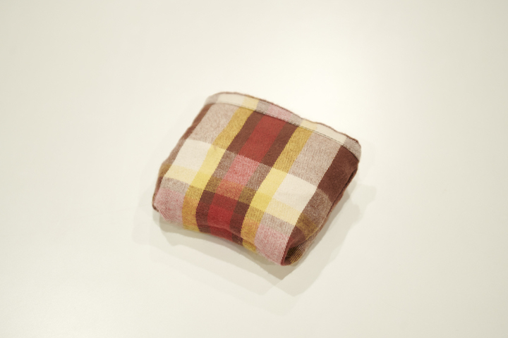 \"Rocky Mountain Featherbed × TheThreeRobbers DAILY PET BAG FLANNEL - ORDER\"ってこんなこと。_c0140560_08215257.jpg