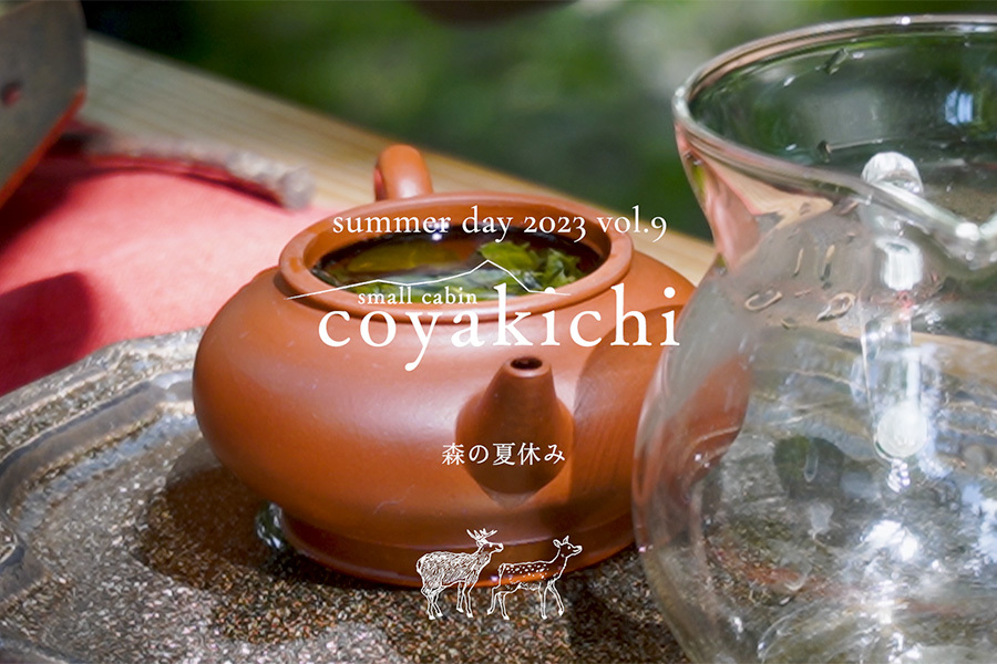 YouTubeチャンネル「coyakichi life」に動画「森の夏休み」をUPしました。_e0029115_10095201.jpg
