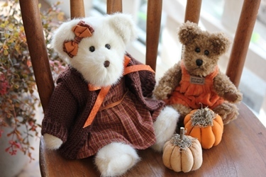 秋のスタイルのBoyds Bear、届きました♪_f0161543_16004165.jpg