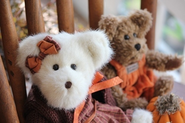 秋のスタイルのBoyds Bear、届きました♪_f0161543_16011632.jpg