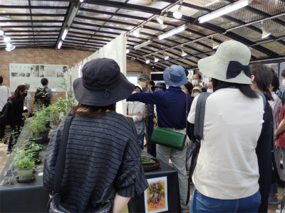 「牧野富太郎ゆかりの植物展」は明日まで！！_f0203094_14181570.jpg