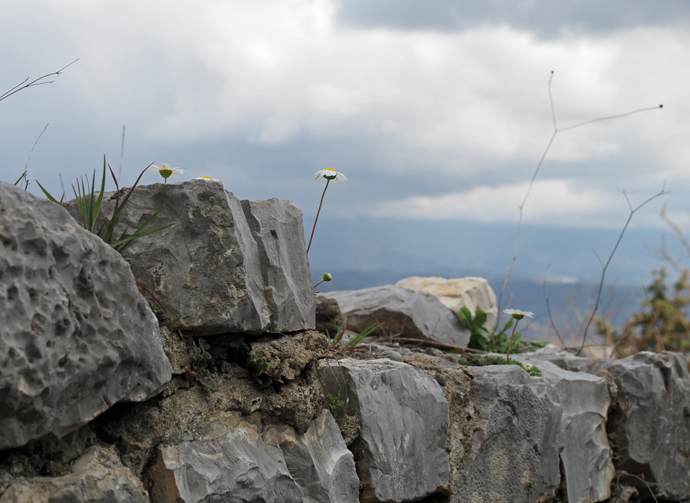 アルバニア屈指の世界遺産“千の窓を持つ町”「ベラト」_f0140054_08163443.jpg