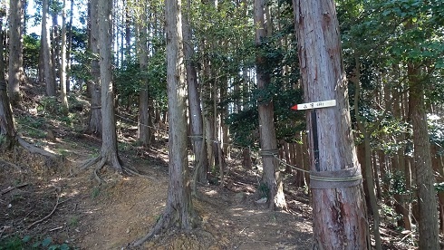 白山（首羅山）　福岡久山町_b0282042_12561362.jpg