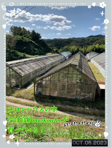 10/6    足守まで、岡山県産メロンを買いに_c0043979_18094866.jpg