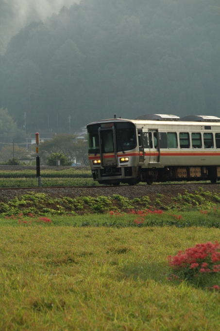 そば畑・彼岸花_e0304780_22505983.jpg