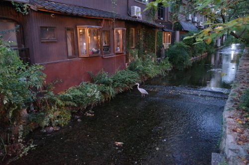 京都・木屋町「りょうりや御旅屋」へ行く。_f0232060_14320078.jpg