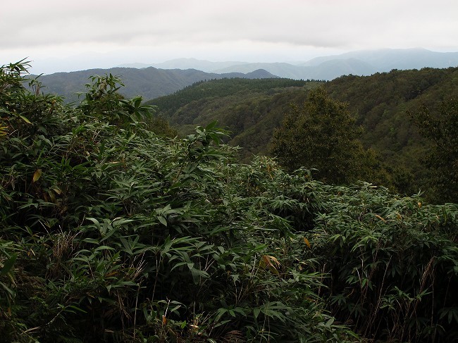 大段ヶ平から登る氷ノ山_f0073587_20373165.jpg