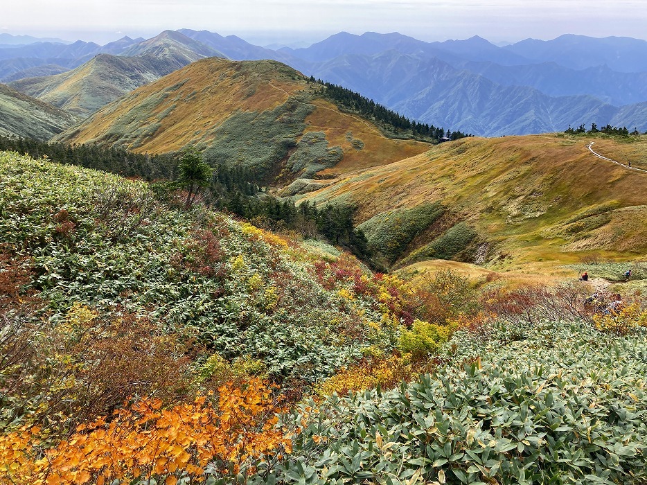 山LOG 2023　その28／巻機山・牛ヶ岳・割引岳～県境主稜線を望む_e0031346_21300302.jpg