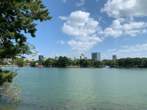 秋晴れの大濠公園_f0217536_14372403.jpg