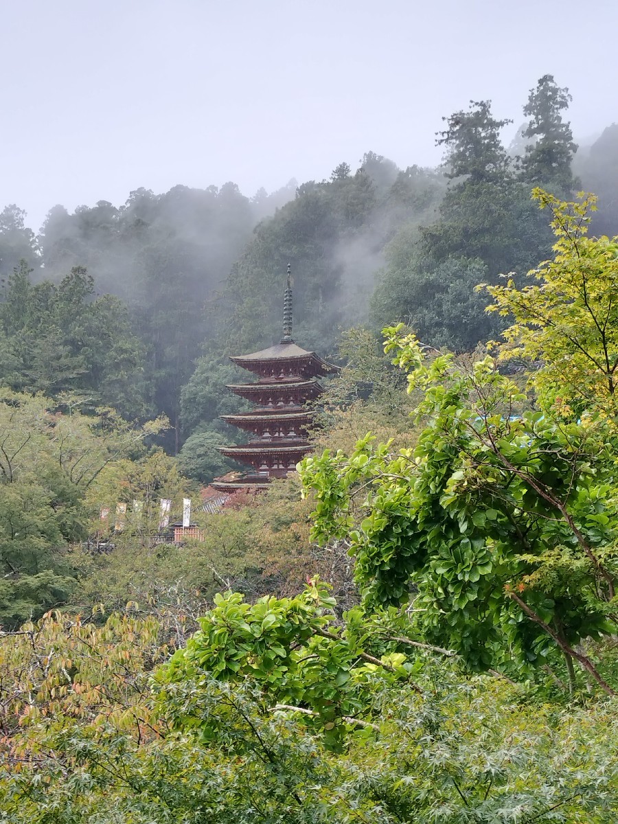 奈良へ　旅の記録⑲_f0197985_18253911.jpg