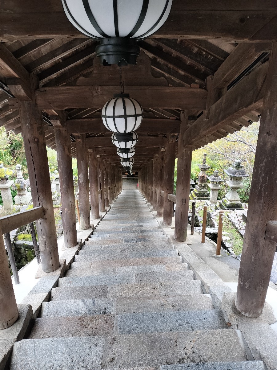奈良へ　旅の記録⑲_f0197985_18253999.jpg