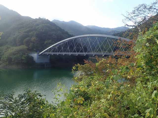 イヨ山(979m)・ヌカザス山(1175m)・入小沢ノ頭(1302m)・三頭山(1531m)_b0341133_14115808.jpg