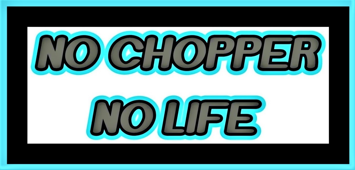 NO CHOPPER  NO LIFE_f0311945_08011047.jpg
