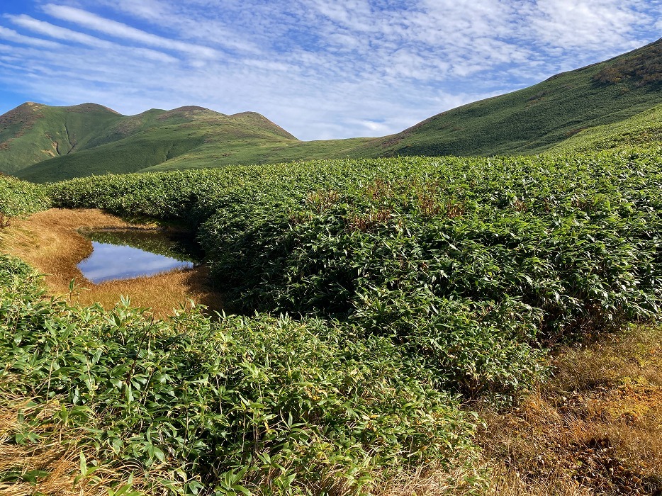 山LOG 2023　その29／平標山・仙ノ倉山～平標新道を行く_e0031346_17440309.jpg