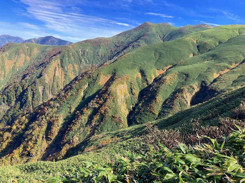 山LOG 2023　その29／平標山・仙ノ倉山～平標新道を行く_e0031346_17442713.jpg