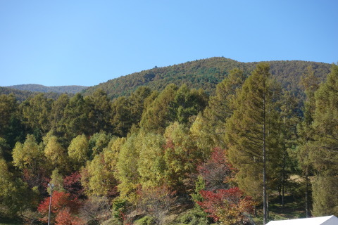 入笠山散歩_f0013323_20293021.jpg