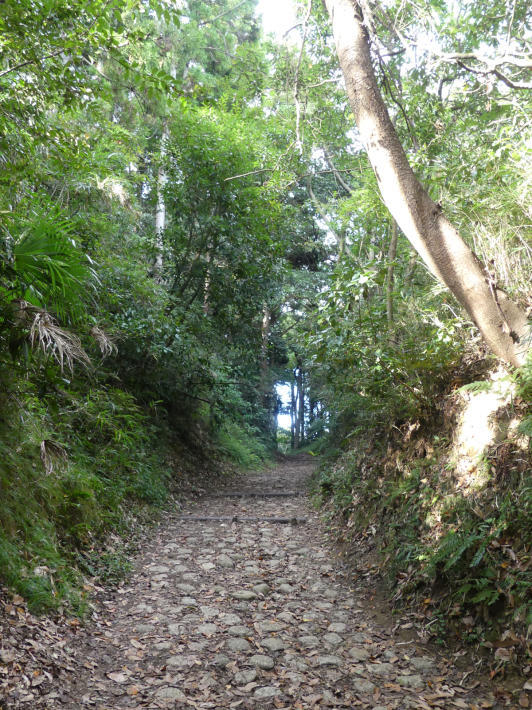 秋の山歩き　金沢市民の森から瀬上市民の森へ_f0296312_00333030.jpg