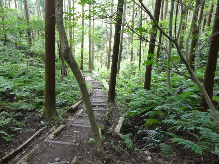 秋の山歩き　金沢市民の森から瀬上市民の森へ_f0296312_00334160.jpg