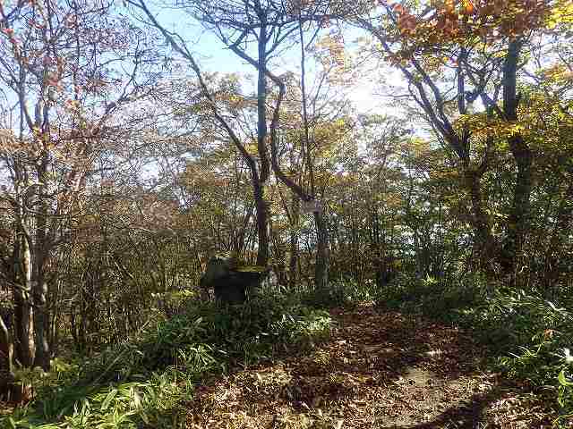 榛名山/三ツ峰山(1315m)・天目山(1303m)・氷室山(1240m)・掃部ヶ岳(1449m)・鬢櫛山(1350m)・烏帽子岳(1363m)_b0341133_22075176.jpg