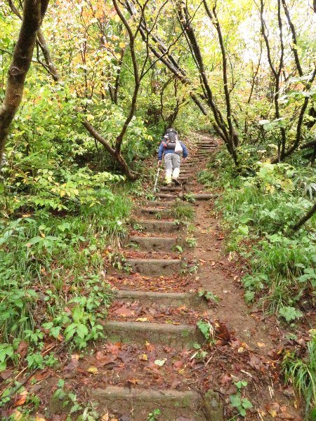 目的は原三角点、米山登山_a0309917_11314822.jpg