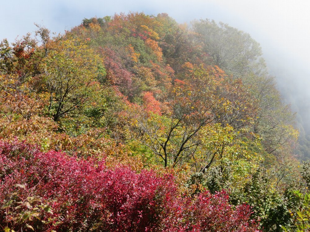 目的は原三角点、米山登山_a0309917_16345100.jpg