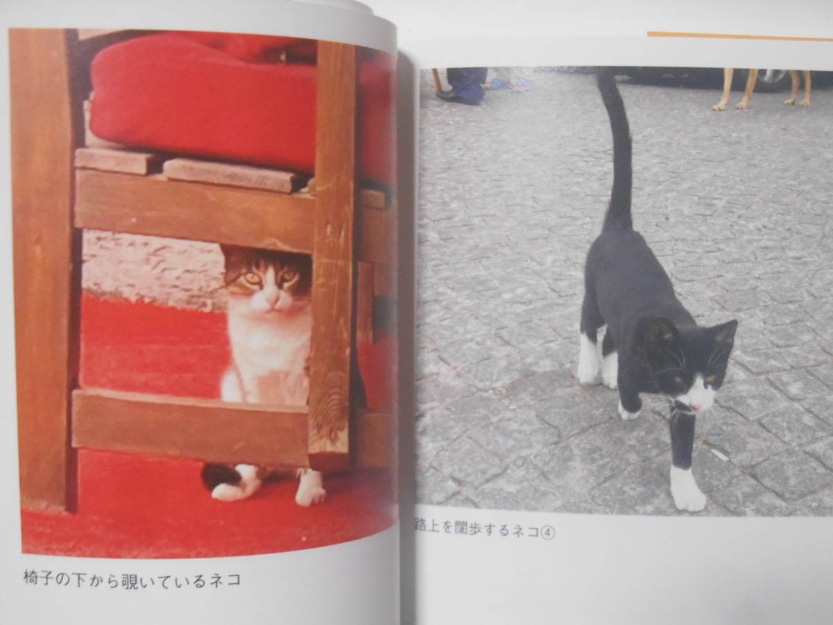 魅惑のイスタンブールと可愛い猫　最終回_e0297347_14330579.jpg