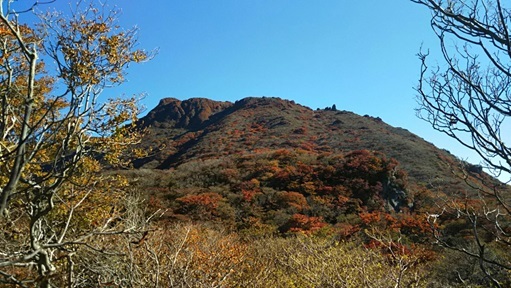 紅葉の大船山へ_d0006512_10194755.jpg