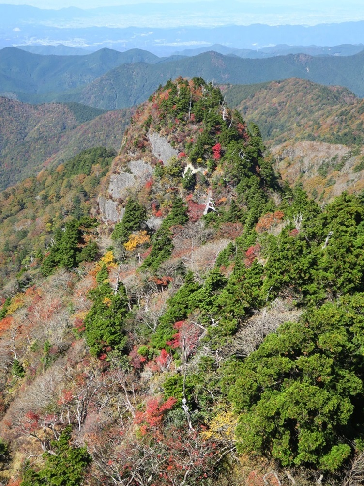 岩本谷から稲村ヶ岳（大峰山脈）_a0286351_00433247.jpg