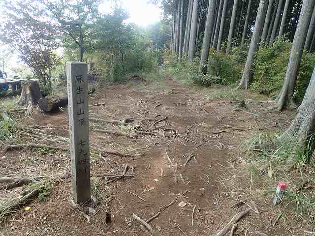 日の出山(902m)・麻生山(794m)・勝峰山(454m)_b0341133_15404784.jpg