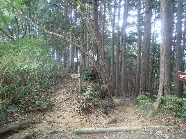 日の出山(902m)・麻生山(794m)・勝峰山(454m)_b0341133_15405649.jpg