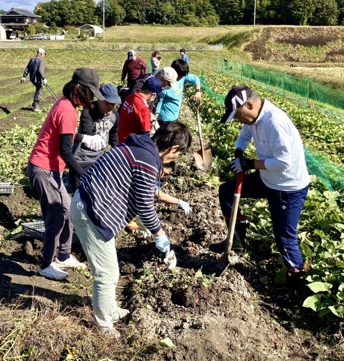 &#127840; いもほり大会      三木市吉川町 藤田農園_a0123689_05063246.jpeg