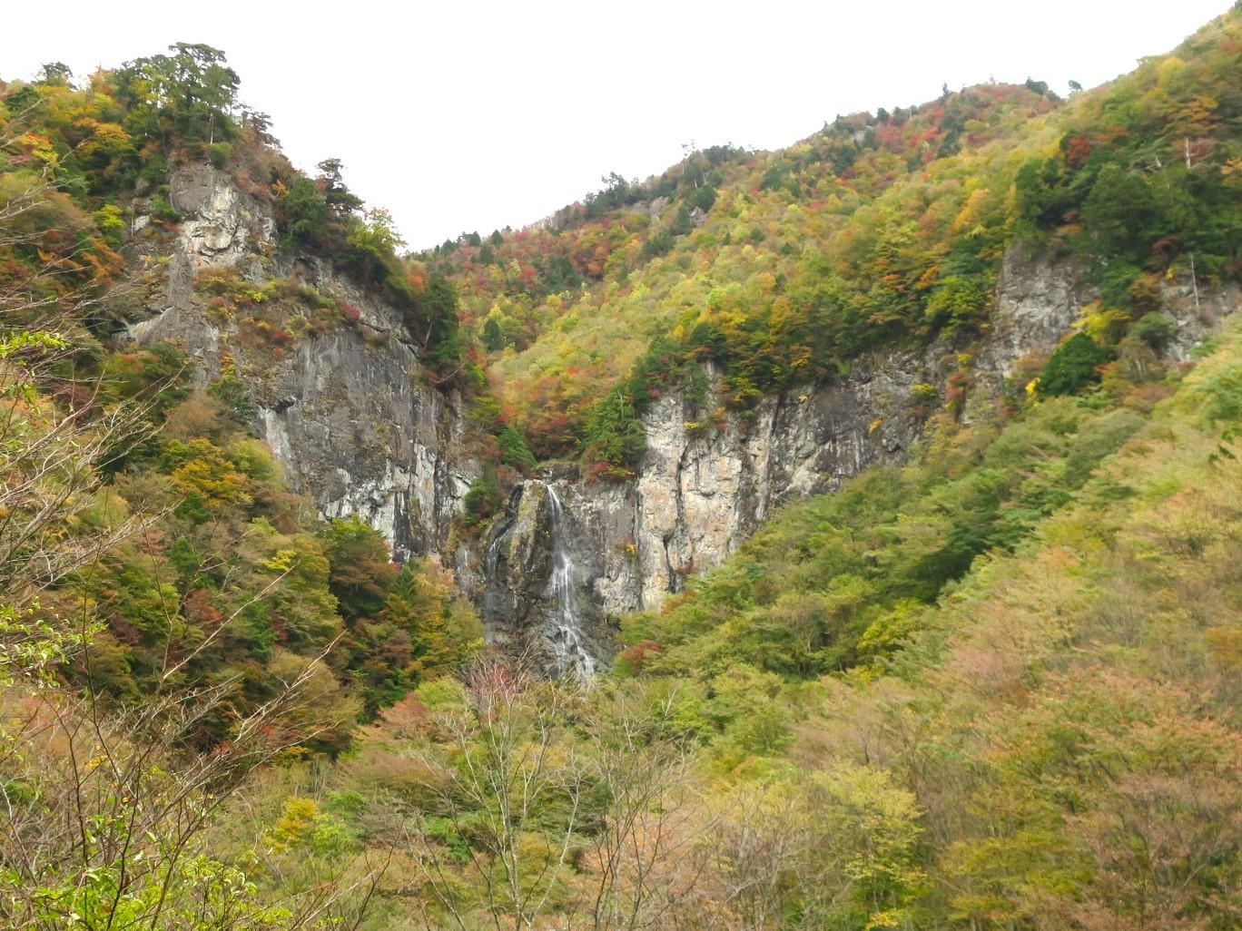 舟ノ川ヒウラ谷②・迷滝〜上部（大峰山脈）_a0286351_22342765.jpg