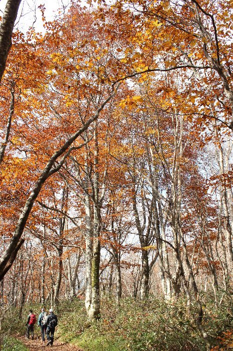 紅葉の磐梯山からレイクライン中津川渓谷_a0309917_09383034.jpg