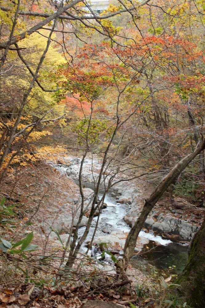 紅葉の磐梯山からレイクライン中津川渓谷_a0309917_09500371.jpg